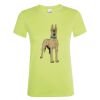 SOL'S Ladies Regent T-Shirt Thumbnail